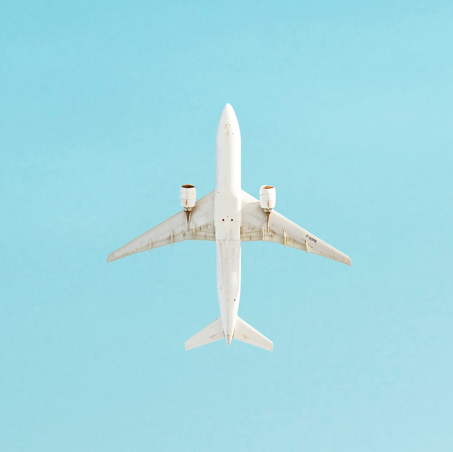 Airline Website Logo