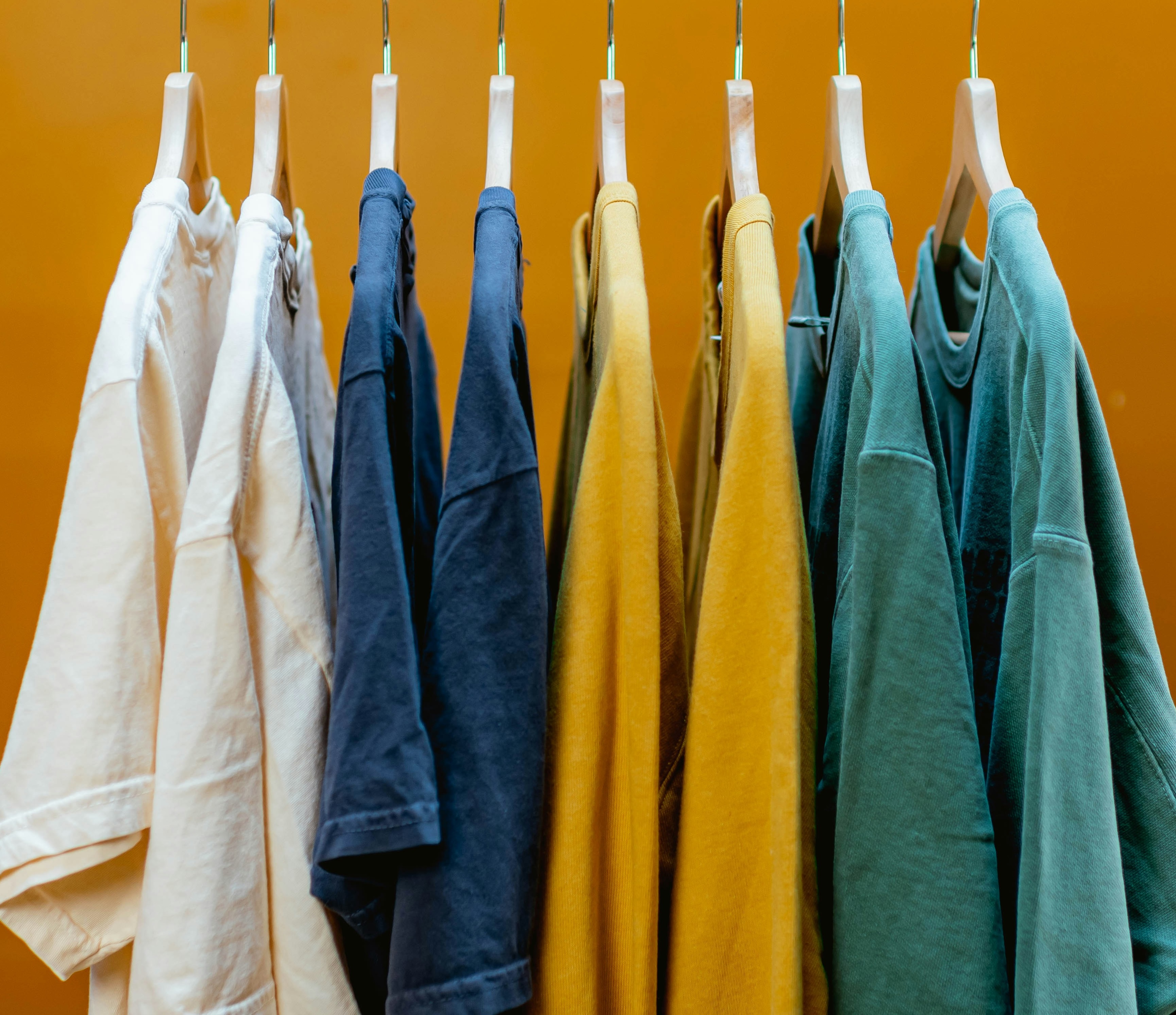 Wishlist Wardrobe Logo